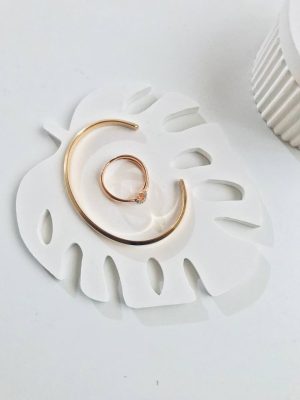 استند برگ انجیری