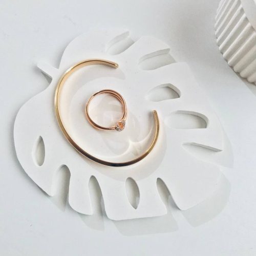 استند برگ انجیری