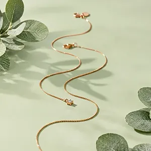 دسته بندی پابند TRZ
